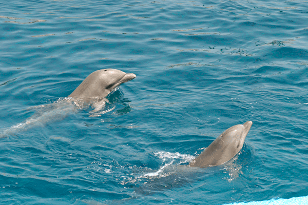 14882__40_a_1 14882__40_a_1