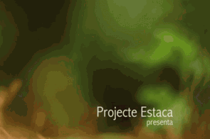 SISET_Estaca