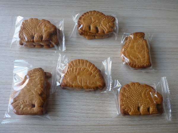 dinosaurus-cokienss-