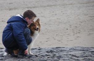 dognen1