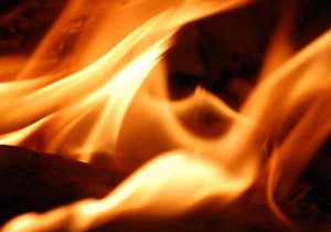 foc