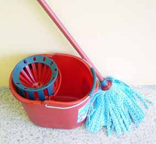 A Jérez viuen una "vaga de pals de fregar". (Foto: estofa.es) A Jérez viuen una "vaga de pals de fregar". (Foto: estofa.es)